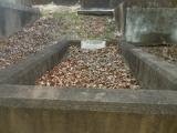 image of grave number 835088